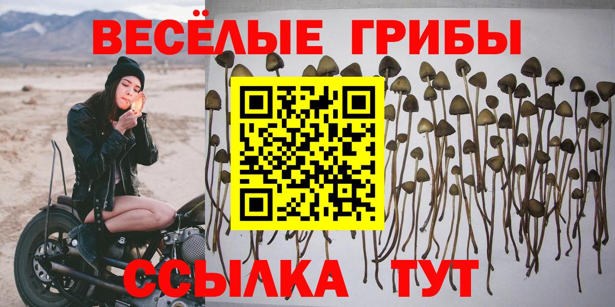 Псилоцибиновые грибы MAGIC MUSHROOMS Кингисепп