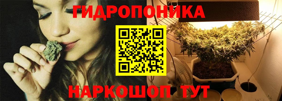 Канабис планчик  Вход с VPN  Бошки Шишки семена  Кингисепп 